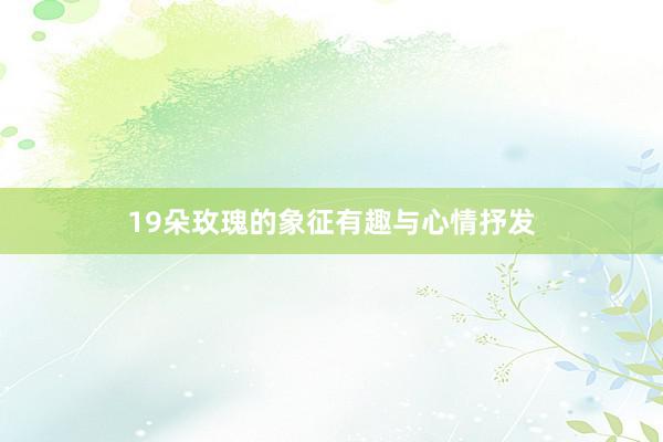 19朵玫瑰的象征有趣与心情抒发
