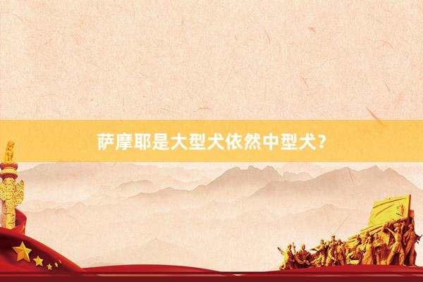 萨摩耶是大型犬依然中型犬？