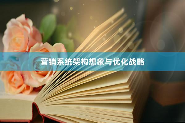 营销系统架构想象与优化战略